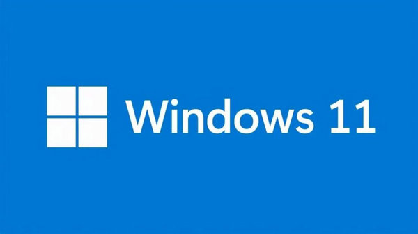 电脑公司win11 64位稳定装机版