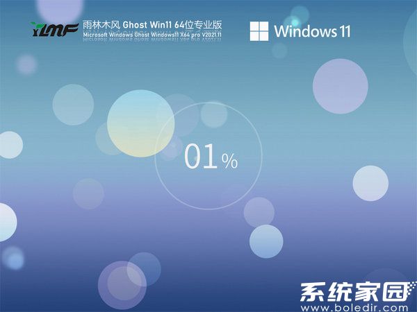 雨林木风windows11专业版