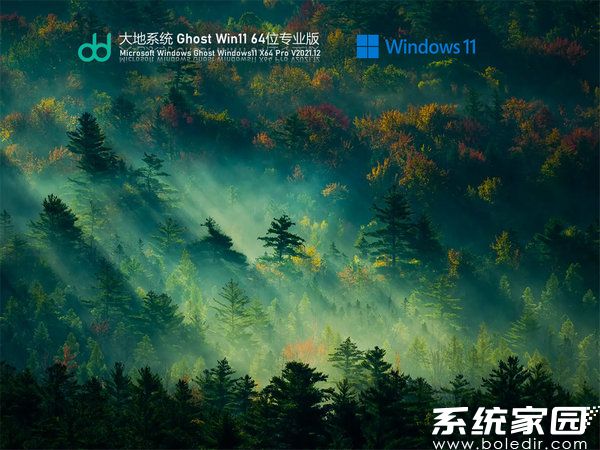 大地系统windows11 64位专业稳定版