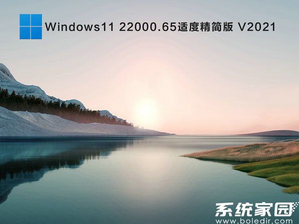 windows11 64位适度精简版