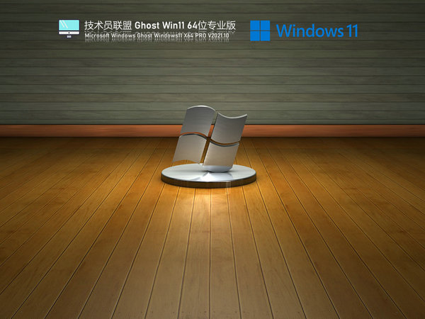 技术员联盟windows11系统专业版