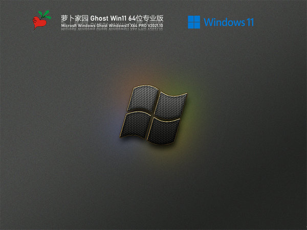萝卜家园windows11正式版本