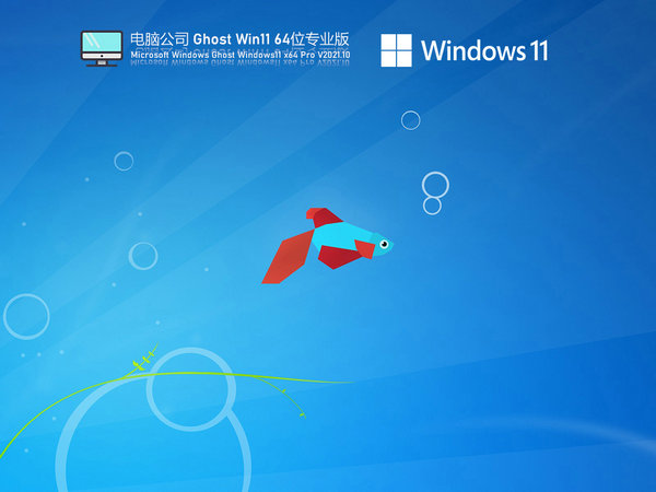 电脑公司windows11专业版