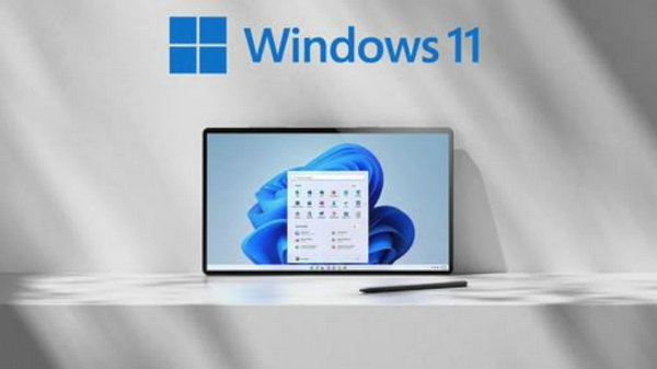 萝卜家园win11企业版64位