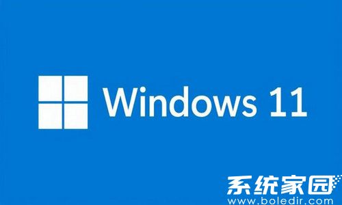 番茄花园win11 64位专注分享版