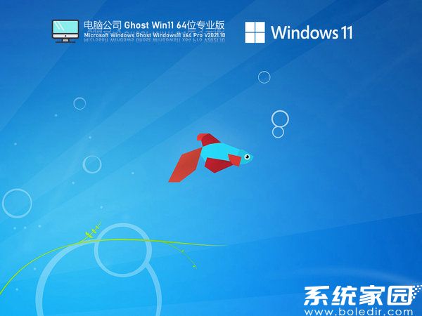 电脑公司windows11稳定版