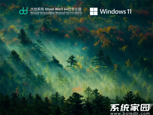 大地系统windows11免激活专业版
