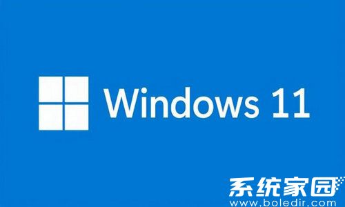 电脑公司win11 64位家庭装机版
