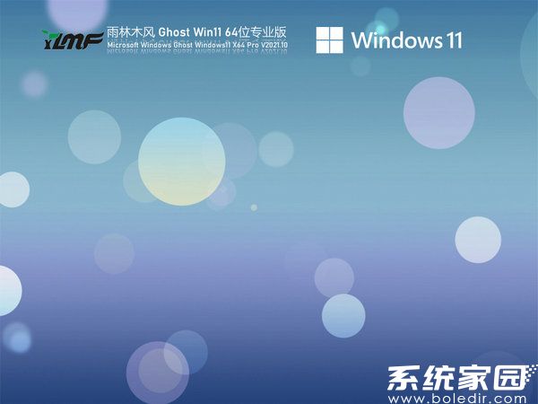 雨林木风windows11办公装机版