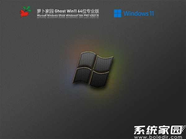 萝卜家园windows11最新版ISO