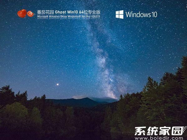 番茄花园windows10 64位全新安装版