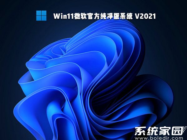 windows11微软官方纯净版