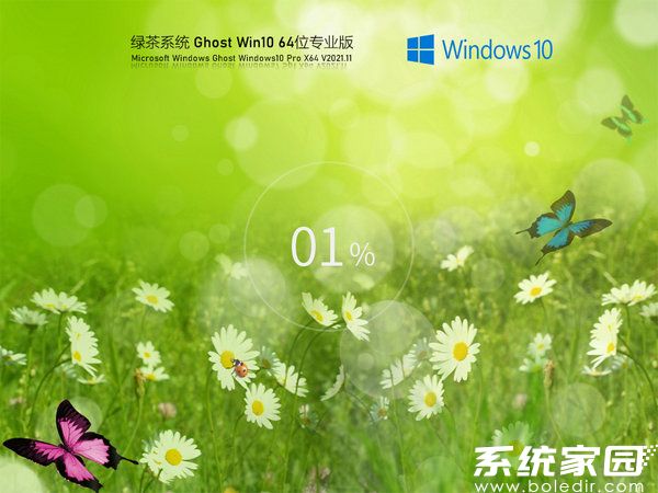 绿茶系统windows10 64位流畅专业版
