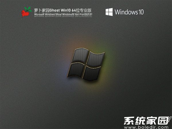 萝卜家园windows10 32位家庭版