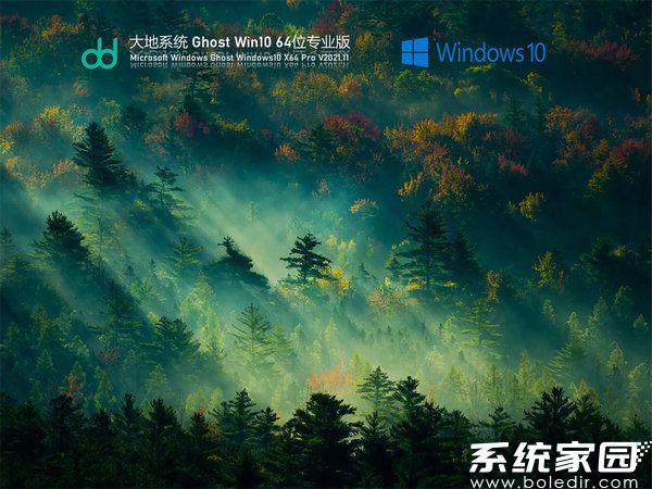 大地系统windows10 64位官方家庭版