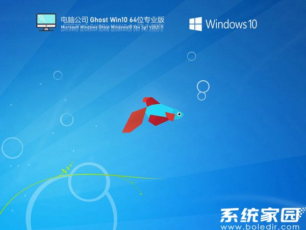 电脑公司windows10 64位官方企业版