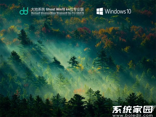 大地系统windows10 64位免费纯净版