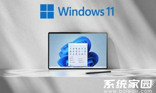 雨林木风win11 64位完美纯净版