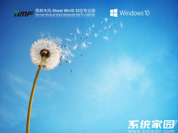 雨林木风windows10 32位家庭中文版