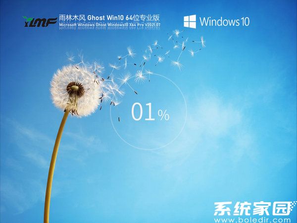 雨林木风windows10 64位精简纯净版