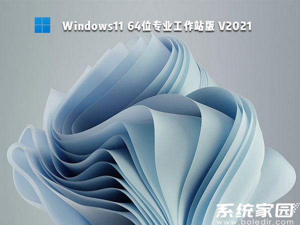 windows11 64位专业工作站版