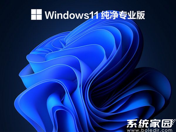 windows11 64位纯净专业版