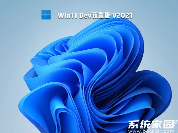 windows11 64位dev预览版