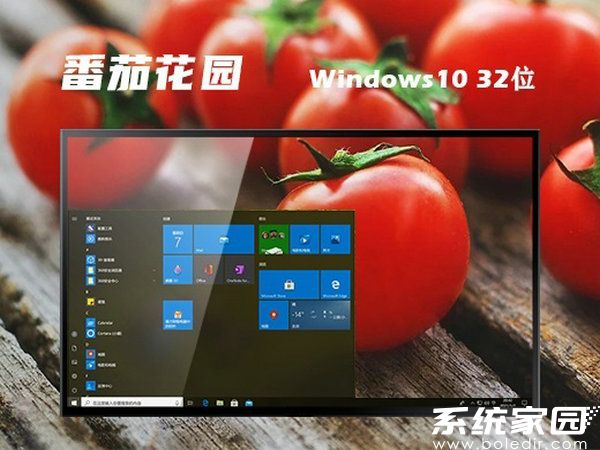 番茄花园windows10 32位纯净硬盘版