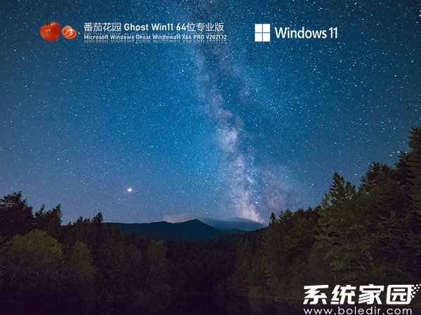 番茄花园windows11 64位永久免费版