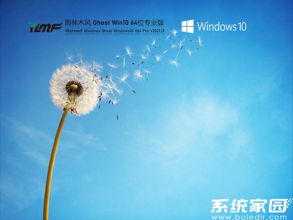 雨林木风windows10 64位高效稳定版