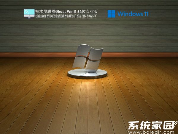技术员联盟windows11 64位纯净稳定版