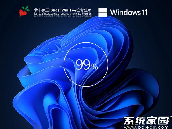 萝卜家园windows11工作站专业版