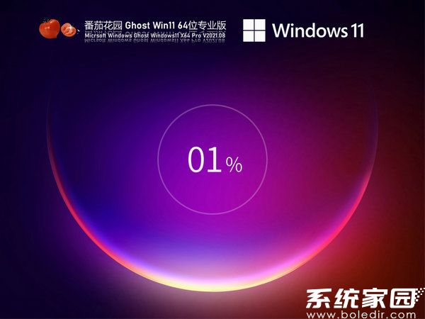 番茄花园windows11 64位极速优化版