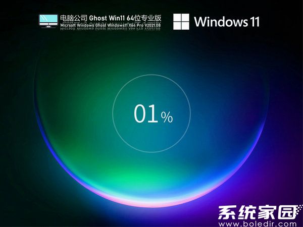 电脑公司windows11 64位专业优化版