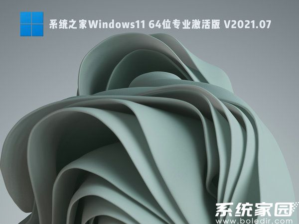系统之家windows11 64位专业激活版