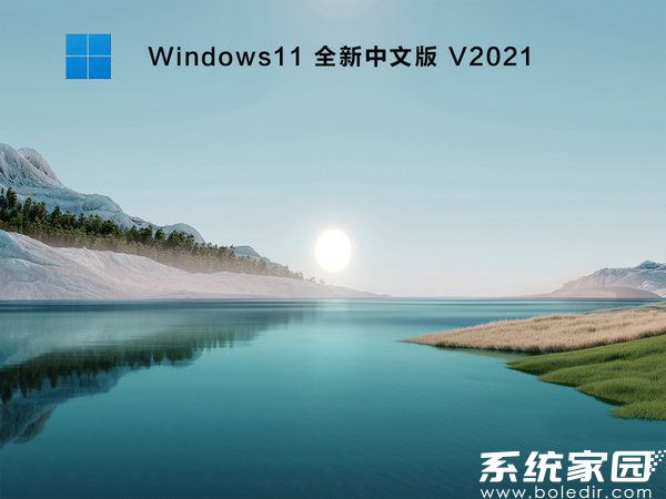 windows11 64位全新中文版