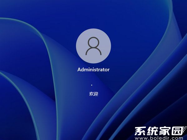 萝卜家园windows11精简版自用版