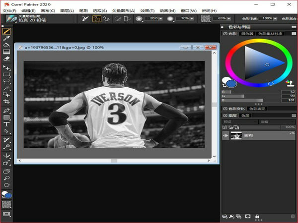 corel painter2020中文版