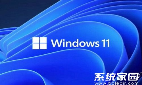 雨林木风win11纯净版64位