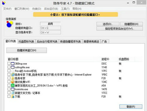 隐身专家电脑版