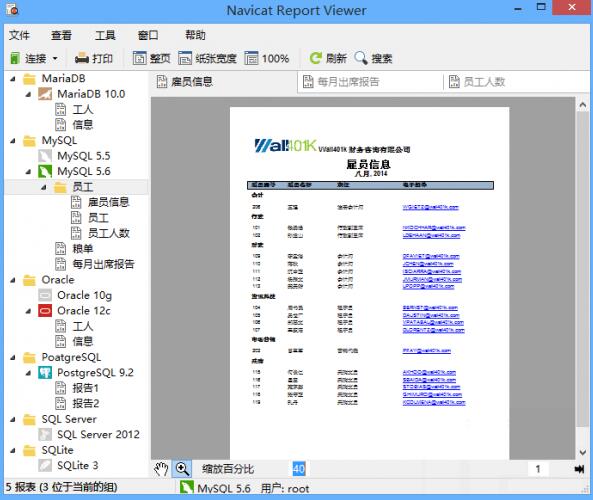 report viewer 迷你版