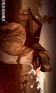 勇闯死人谷2