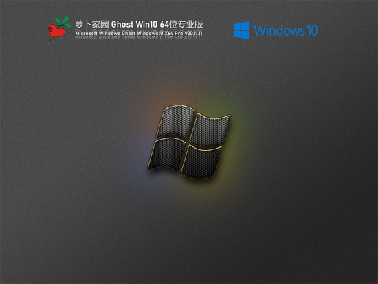 萝卜家园win10 x64装机版镜像下载