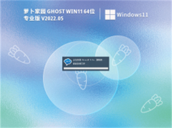 萝卜家园ghost win11 64位精简专业版