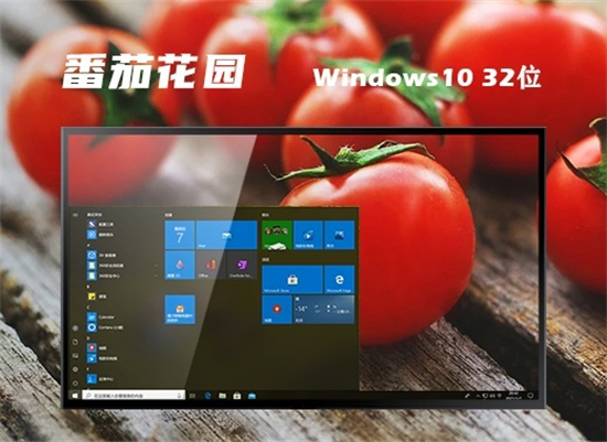 番茄花园ghost win10 32位强效专业版
