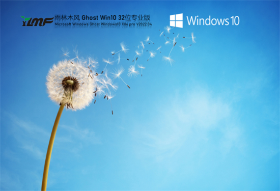 雨林木风windows10精简版镜像32位