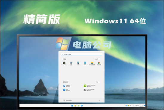 电脑公司ghost win11精简专业版
