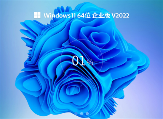 系统之家windows11系统企业版