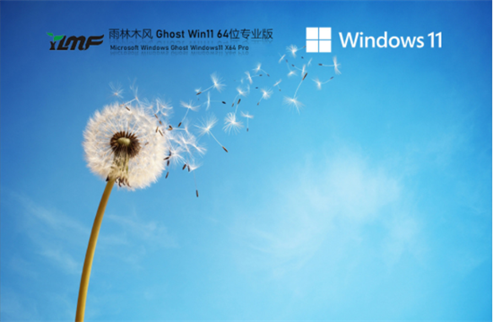 雨林木风ghost win11免费专业版