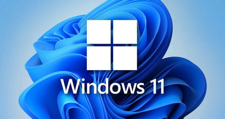 大地系统win11标准版系统